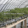 vegetables greenhouse mesh panel manufacturer